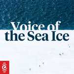 Wild Sounds: Voice of the Sea Ice