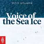 Wild Sounds: Voice of the Sea Ice