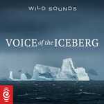 Wild Sounds: Voice of the Iceberg