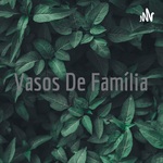 Vasos De Família