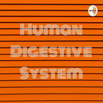 Human Digestive System