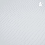 Lightcast