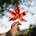 Tips and tricks to live the Canadian dream