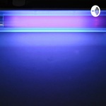 Blacklight