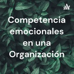 Competencia emocionales en una Organización