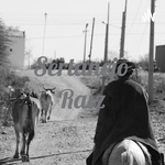 Sertanejo Raiz