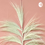 Mr Hmn Podcast