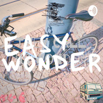 Easy Wonder