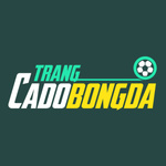 Trang cá độ bóng đá - trangcadobongda.day
