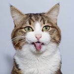 我只是在練肖威