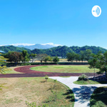 龍肚播客LD Podcast