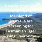 Tasmanian tiger-thylacine search mainland Australia 2025 and 2026.Environmental DNA.