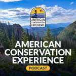 American Conversation Experience Podcast