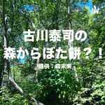古川泰司の森からぼたもち?!