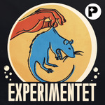 Experimentet