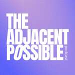 The Adjacent Possible 