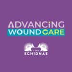 Two Echidnae Podcast from Advancing Wound Care