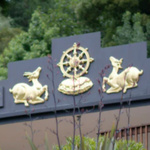 Australian Kadampa Stories