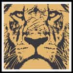 The Andrew Taylor Show: Thriving and Surviving