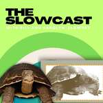 The SlowCast