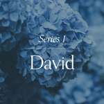 David (Series 1)