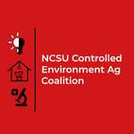 Beyond the Field: CEA Insights