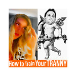 How to Train Your TRANNY