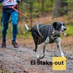 El Stake-out