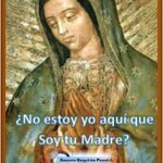 MANTO DE LA VIRGEN. MEDITACIÓN VIRTUDES