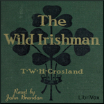 Wild Irishman, The by T. W. H. Crosland (c. 1865 - 1924)