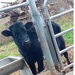 The start of sum funni