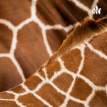 面朝大海，幸福总会花开