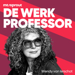 De Werkprofessor 