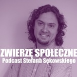 Zwierzę społeczne