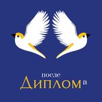 После диплома