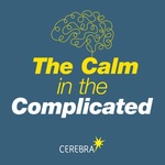 The Calm in the Complicated