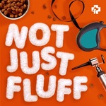 Not Just Fluff: Pet wellness from the pros at Banfield Pet Hospital
