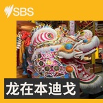 龙在本迪戈