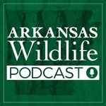 Arkansas Wildlife