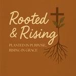 Rooted & Rising