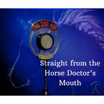 Straight from the Horse Doctor's Mouth
