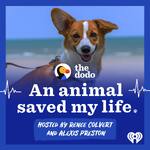 An Animal Saved My Life