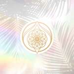 Divine Flow