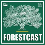 Forestcast