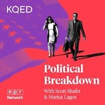 Political Breakdown
