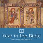 Year in the Bible