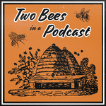 Two Bees in a Podcast 