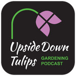 Upside Down Tulips - A Garden Podcast