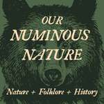 Our Numinous Nature