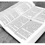 Joy in the Word